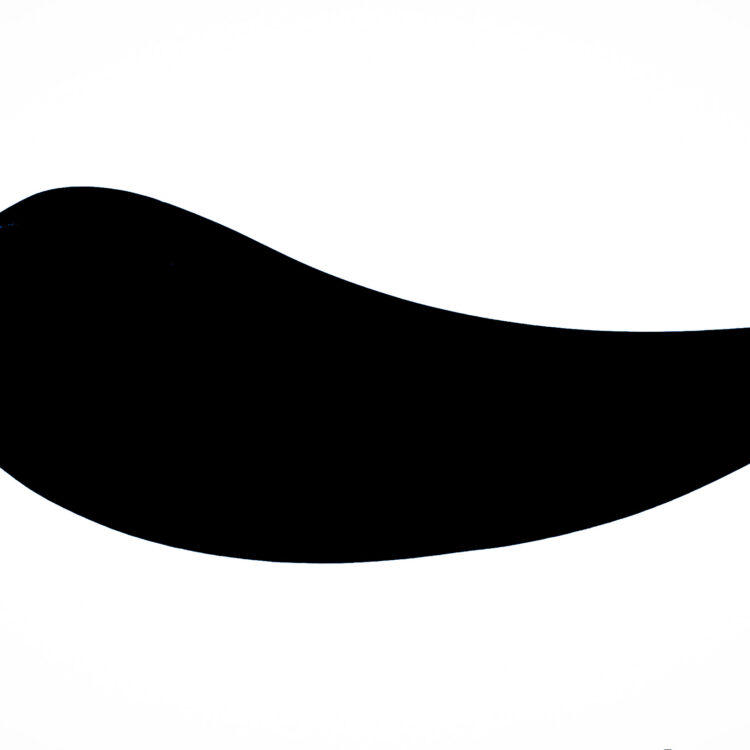 GUA SHA w kształcie bumerangu